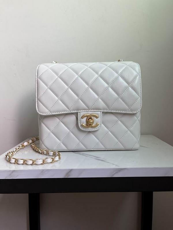 Chanel Handbags 219